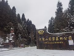 -武陵山森林公园