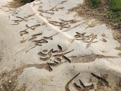 -汉长安城未央宫国家考古遗址公园