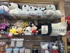 -中部国际机场
