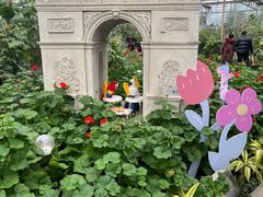 -南宫五洲植物乐园