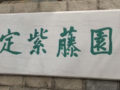 -嘉定紫藤园