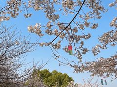 -堤角公园