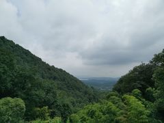 -韬光茶庵