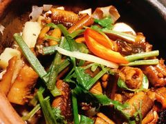 啫啫黄鳝煲-大榕树下顺德菜(融创茂店)
