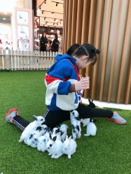 -萌宠亲子动物乐园(槐房万达店)