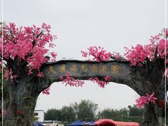 -天适樱花悠乐园