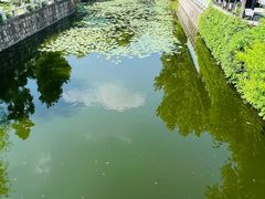 -水绘园