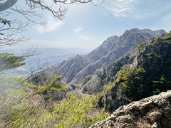 -王顺山国家森林公园