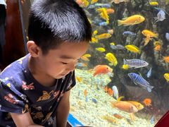 -太平洋海底世界