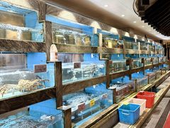 -佳丽海鲜大酒楼(环岛海景店)