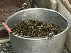-西环肥仔螺蛳粉(总店)