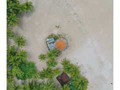 -东郊椰林