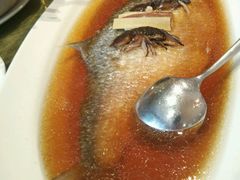 -苏浙汇(朝外店)