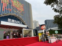 -凯德MALL(望京店)