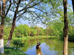 -西溪国家湿地公园