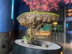 -1718海鲜姿造(苏宁宴请臻选店)