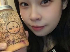 -野萃山·潮汕厚果汁(十亩地店)