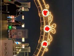 -武汉知音号