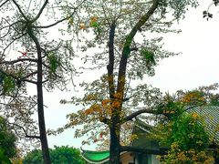 -荔湾湖公园