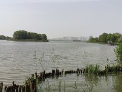 -长广溪湿地公园