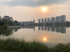 -美的鹭湖森林度假区