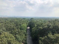-灵谷景区