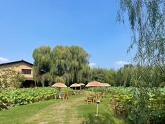 -百翠山居.家飨餐厅