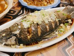 -朝花夕拾中餐厅(台儿庄古城复兴广场店)