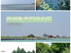 -昆山城市生态森林公园