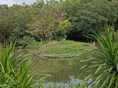 -广州长隆飞鸟乐园