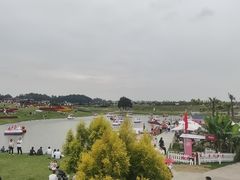-空港花田景区