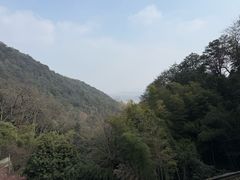 -韬光茶庵