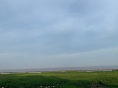 -南汇嘴观海公园