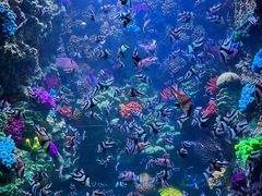 -海合安青岛极地海洋公园