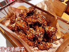 -浩爷羊蝎子火锅(望京店)