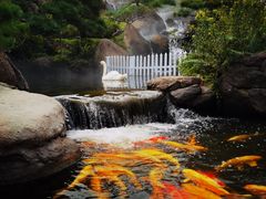 -罗红摄影艺术馆