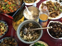 -生态苑农庄(十里画廊遇龙河店)