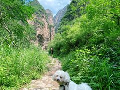 -龙门涧景区