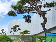 -罗红摄影艺术馆