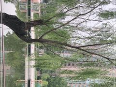 -Fiume福弥意大利餐厅
