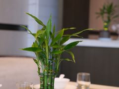 -南昌绿地铂瑞酒店·臻萃轩中餐厅