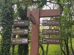 -南京老山国家森林公园