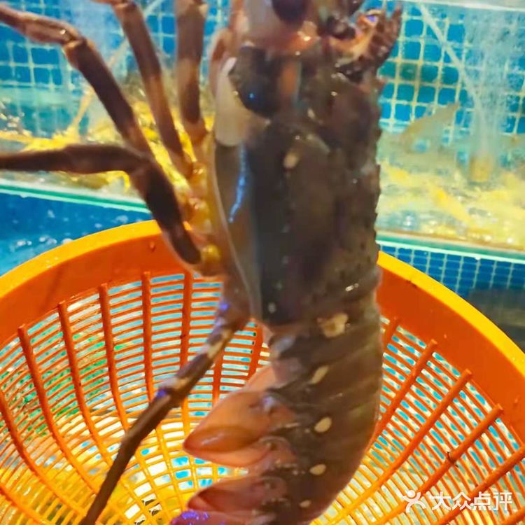 一家汤头很赞的老牌沙茶面