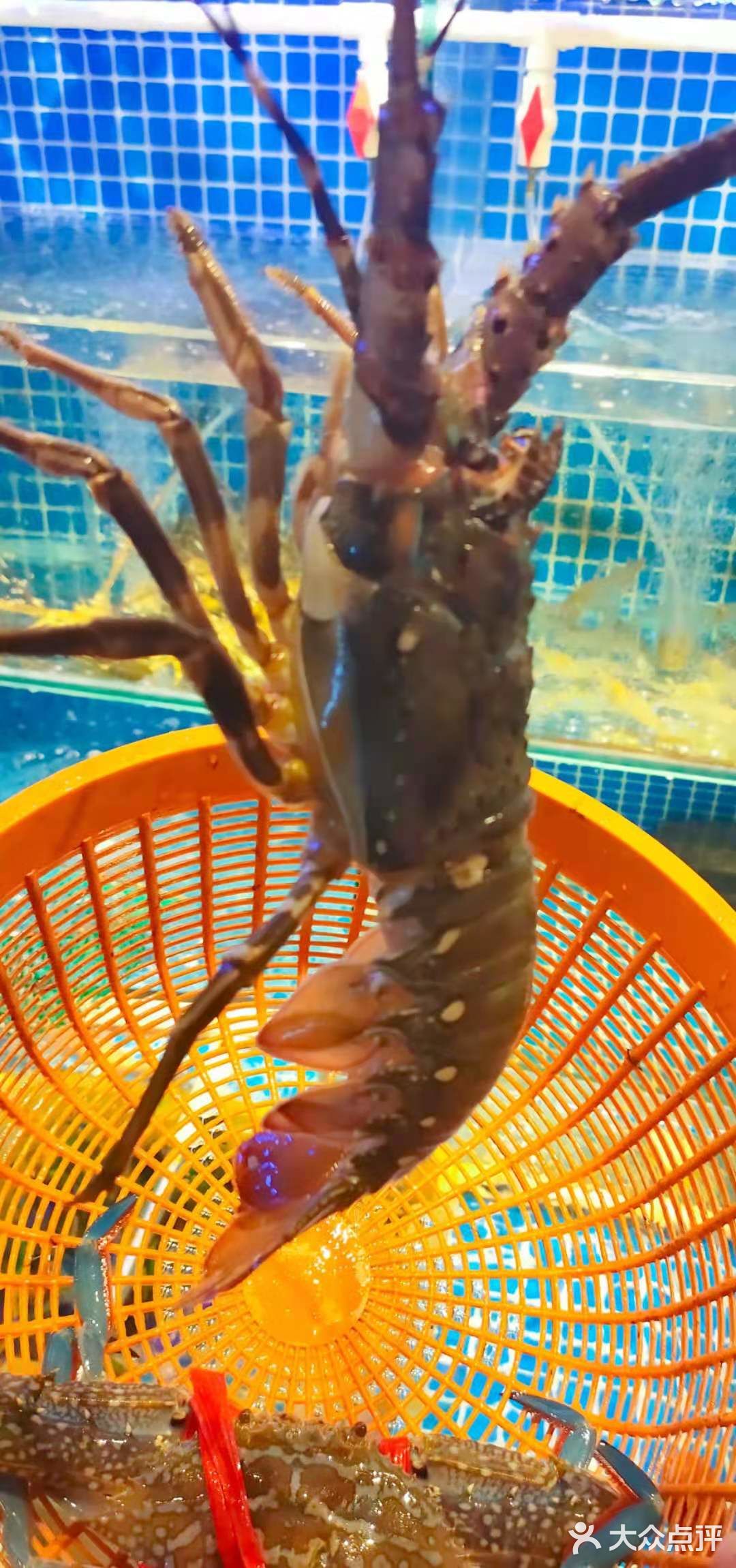 一家汤头很赞的老牌沙茶面