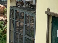 -无锡动物园·太湖欢乐园