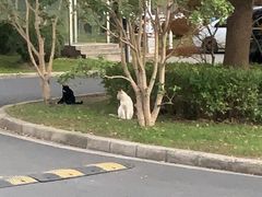 -上海市杨浦区牙病防治所