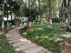 -青枫公园