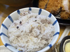 杂粮饭-胜博殿日式炸猪排(西红门店)