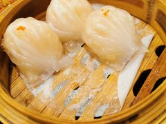 招牌虾饺皇-岭南小生·粤港点心(南门口店)