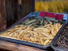 -昆虫窝子·特色云南菜(拓东路总店)